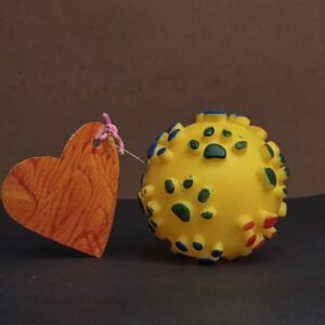 Pet Toy